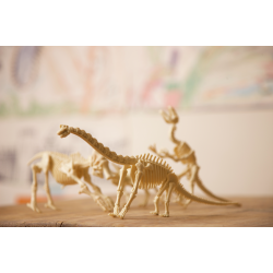 Kidz Labs Kit Geológico del Esqueleto de Tyrannosaurus Rex