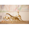 Kidz Labs Kit Geológico del Esqueleto de Tyrannosaurus Rex