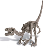 Kidz Labs Kit Geológico Velociraptor