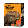 Kidz Labs Kit Geológico de un  Triceratops